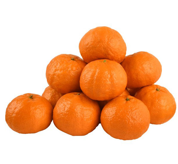 نهال نارنگی چینی